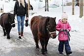 Geführte Winter-Ponywanderung im Familienhotel Elldus Resort im Erzgebirge