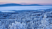 Fichtelgebirge im Winter: Luftaufnahme eines verschneiten Wald und im Hintergrund Berge.