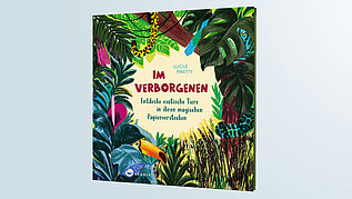 Das Cover des Kinderbuchs "Im Verborgenen - Entdecke exotische Tiere in ihrem magischen Papierverstecken"