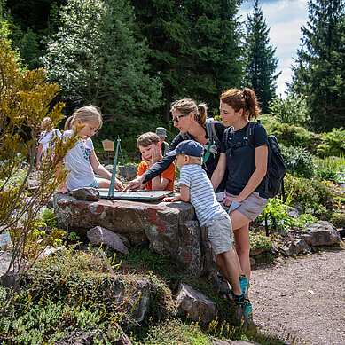 Familie beim Wandern im Thüringer Wald.