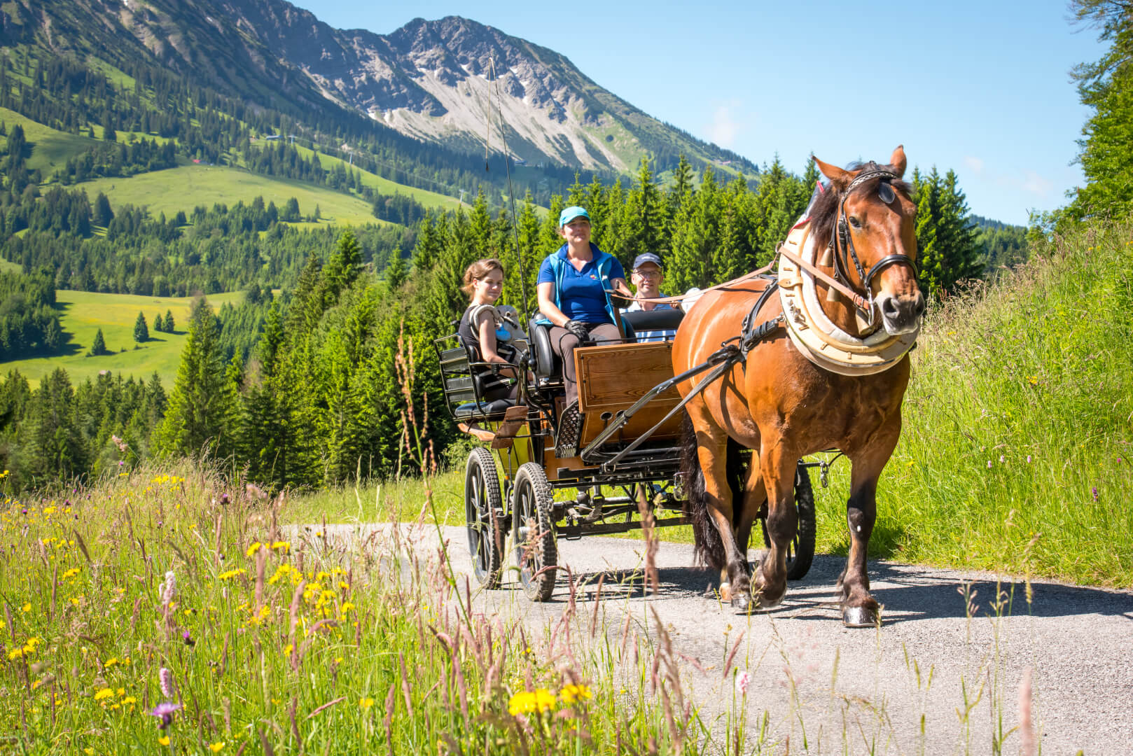 Eine Familie auf Kutschfahrt durch die wunderschöne Landschaft im Familienhotel Spa- & Familien-Resort Krone in den Allgäuer Alpen.