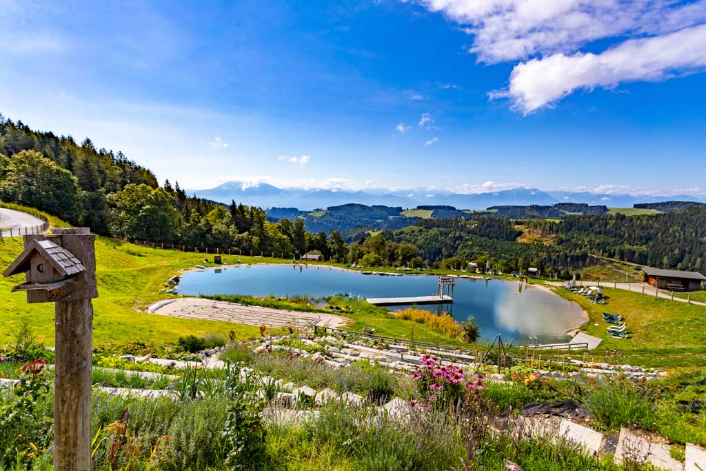 Luftaufnahme im Sommer vom Familienhotel Familien Resort Petschnighof in Kärnten.