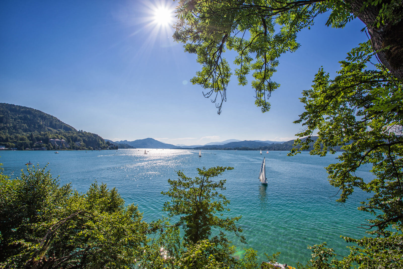 Der Woerthersee im Sommer. Naturaufnahme in Kaernten von See, Sonne und Grün.