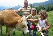 Ein Mann und zwei Kinder streicheln eine Kuh auf einer Wiese vor einer hügeligen Waldlandschaft, was ein interaktives Naturerlebnis während eines Familienurlaubs auf dem Land darstellt.