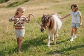 Zwei Kinder führen ein Pony über eine Wiese beim Hotel Bella Vista in Südtirol.