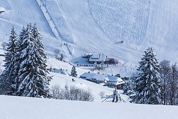 Winterlandschaft mit Skipiste des Familienhotels Hotel Engel im Schwarzwald.