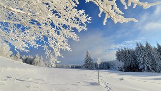 Rhön im Winter. Winterlandschaft "Wasserkuppe" mit Wald-