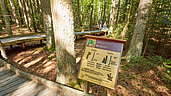 Ausflugstipps in Bayern: Entdeckt gemeinsam den Bayerischen Wald auf einem Waldlehrpfad.