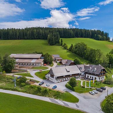 Außenansicht des Familienhotels Der Ponyhof in der Steiermark. Das Hotel ist umgeben von einem großzügigen Außenbereich mit viel Platz für die Kinder zum Spielen.