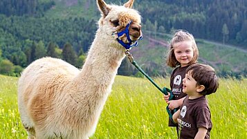 Zwei Kinder spazieren mit einem Lama in der Natur im Familienurlaub im Familienhotel Petschnighof in Kärnten.