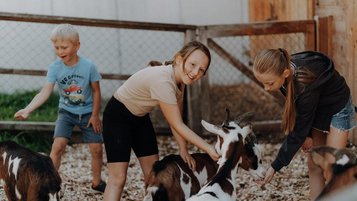 Mehrere Kinder stehen im Tierbereich des Familienhotels Oberkarteis im Salzburger Land bei Ziegen und streicheln die Tiere.