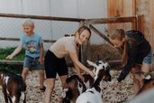 Mehrere Kinder stehen im Tierbereich des Familienhotels Oberkarteis im Salzburger Land bei Ziegen und streicheln die Tiere.