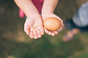 Nahaufnahme von Kinderhänden, die ein frisches Ei halten.