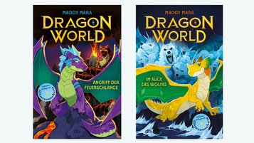 Kinderbücher ab 8 Jahren Dragon World