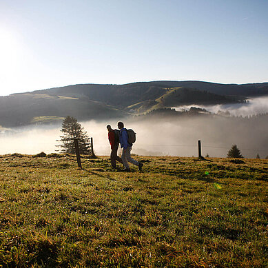 Macht eine tolle Aktivität als Paar im Urlaub. In den Morgenstunden im Schwarzwald zu wandern kann sehr romantisch sein. 