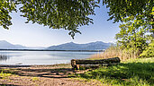 Blick auf den sommerlichen Chiemsee von der Herreninsel aus.