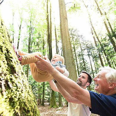 Ein Vater und Opa im Wald schwingen das Kind in die Luft
