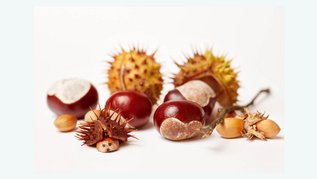 Basteln mit Kastanien