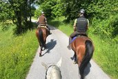 Ein Ausritt für fortgeschrittene Reiter im Familienhotel Der Ponyhof Steiermark.