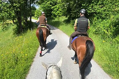 Ein Ausritt für fortgeschrittene Reiter im Familienhotel Der Ponyhof Steiermark.