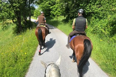 Ein Ausritt für fortgeschrittene Reiter im Familienhotel Der Ponyhof Steiermark.