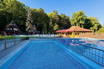 Großer Outdoor-Pool mit Blick auf die Liegewiese und Bäume im Family Club Harz.