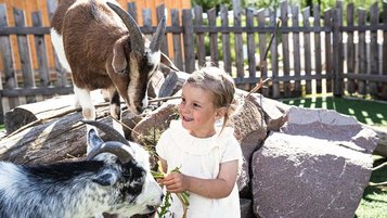 Ein Mädchen füttert begeistert zwei Ziegen im Streichelzoo eines Familotel.