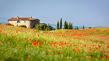 Ein Finca in der schönen Landschaft von Italien.