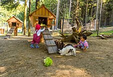 Kinder spielen und streicheln Hasen im großen Außengehege im Familienhotel Ulrichshof im Bayerischen Wald