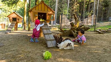 Kinder spielen und streicheln Hasen im großen Außengehege im Familienhotel Ulrichshof im Bayerischen Wald