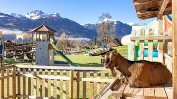 Eine Ziege genießt die Sonne direkt neben dem Abenteuerspielplatz im Familienhotel Rramsi mit traumhaftem Bergpanorama
