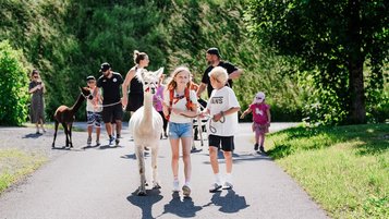 Kinder und Erwachsene führen Lamas bei einer geführten Wanderung in der Natur rund um das Familienhotel Tirolerhof.