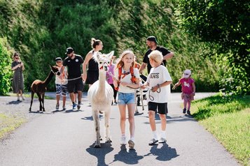 Kinder und Erwachsene führen Lamas bei einer geführten Wanderung in der Natur rund um das Familienhotel Tirolerhof.