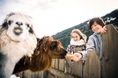 Beim Alpakafüttern erleben Kinder im Winter die Tierwelt rund um das Familienhotel Alpura Retreat in Südtirol.