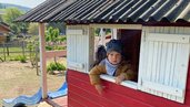 Junge schaut aus dem Fenster des Ziegenhauses auf dem Außengelände des Familienhotels Der Böhmerwald.