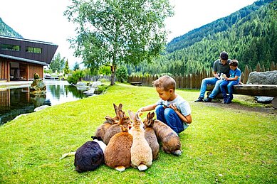 Kleiner Junge sitzt im Freilaufgehege der Hasen und streichelt die Tiere im Familienhotel Alphotel Tyrol Wellness & Family Resort in Südtirol.