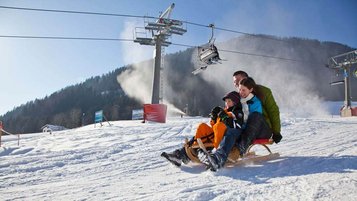 Vater und Mutter sitzen gemeinsam mit ihrem Kind auf einen Schlitten und fahren die Bahn hinunter.