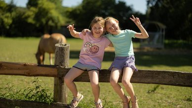 Kinder sitzen auf einem Zaun in der Natur.