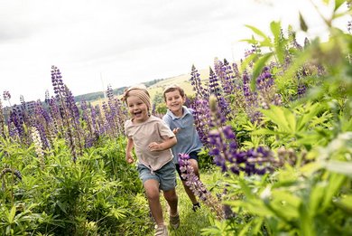 Fröhlich rennen zwei Kinder durch ein blühendes Lavendelfeld in der Nähe vom Familienhotel.