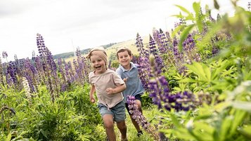 Fröhlich rennen zwei Kinder durch ein blühendes Lavendelfeld in der Nähe vom Familienhotel.