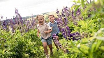 Fröhlich rennen zwei Kinder durch ein blühendes Lavendelfeld in der Nähe vom Familienhotel.