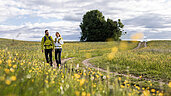 Wandern im Salzburger Land auf dem Jakobsweg. Paar wandert entlang einer gelben Blumenwiese.