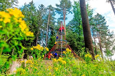 Happy-Club Ausflug zum Waldspielplatz, Kinder klettern den Kletterturm hoch im Familienhotel Ulrichshof im Bayerischen Wald