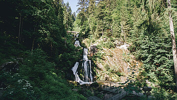 Ein Naturschauspiel im Schwarzwald für eure Familie: die Triberger Wasserfälle. Macht eine Wandertour und überzeugt euch selbst.