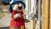 Das Maskottchen des Familienhotels Ramsi in Kärnten füttert einen Esel am Streichelzoo