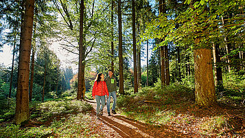 Wandern im Fichtelgebirge: Ein paar wandert durch den Wald. Die Sonne scheint durch das Blätterdach.