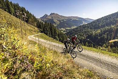 In den Bergen rund um das Habachklause Familien Bauernhof Resort sind atemberaubende Rad- und Mountainbiketouren für die ganze Familie möglich.