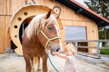 Das kleine Mädchen streichelt das Pferd vor dem Aktiv Stall des Familienhotels Landhaus zur Ohe im Bayerischen Wald.