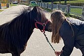 Ein Mädchen geht mit einem Pony des Familienhotels Der Böhmerwald an der Leine spazieren.