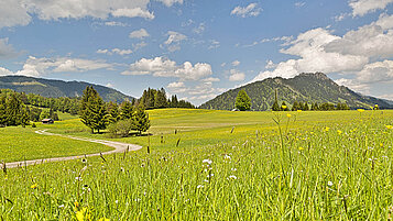 Tirol ist so grün und ein echter Tipp für Familien zum Wandern. Die Landschaft im Schattwald punktet.